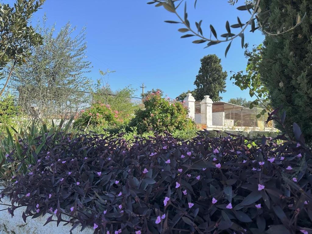 Masseria Strada Agriturismo Ginosa Eksteriør billede