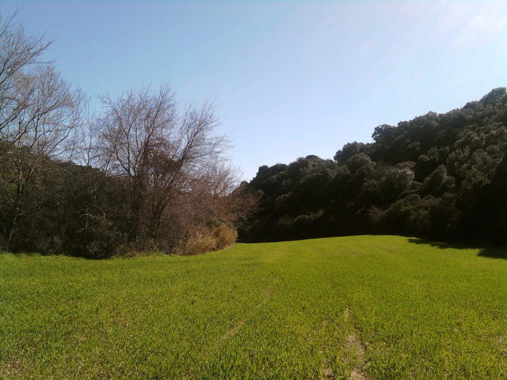 Masseria Strada Agriturismo Ginosa Eksteriør billede